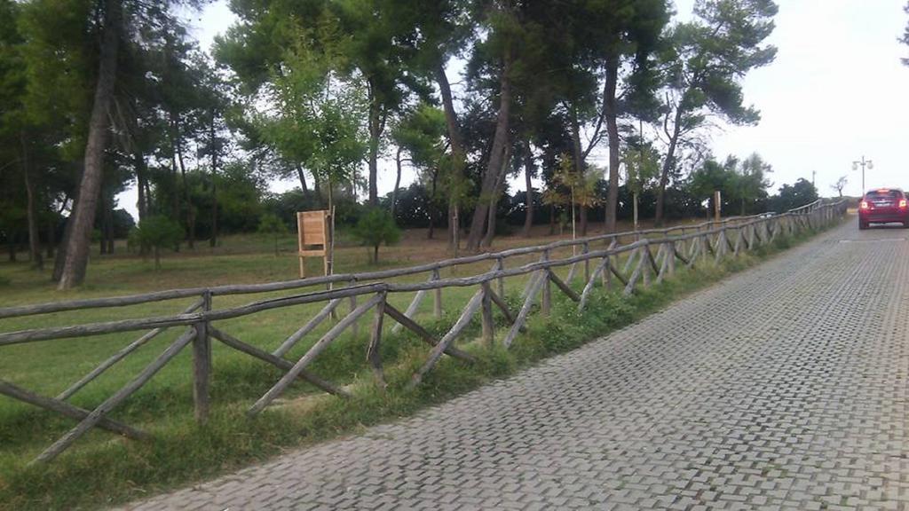 Un Nido Sul Mare Διαμέρισμα Montesilvano Marina Εξωτερικό φωτογραφία